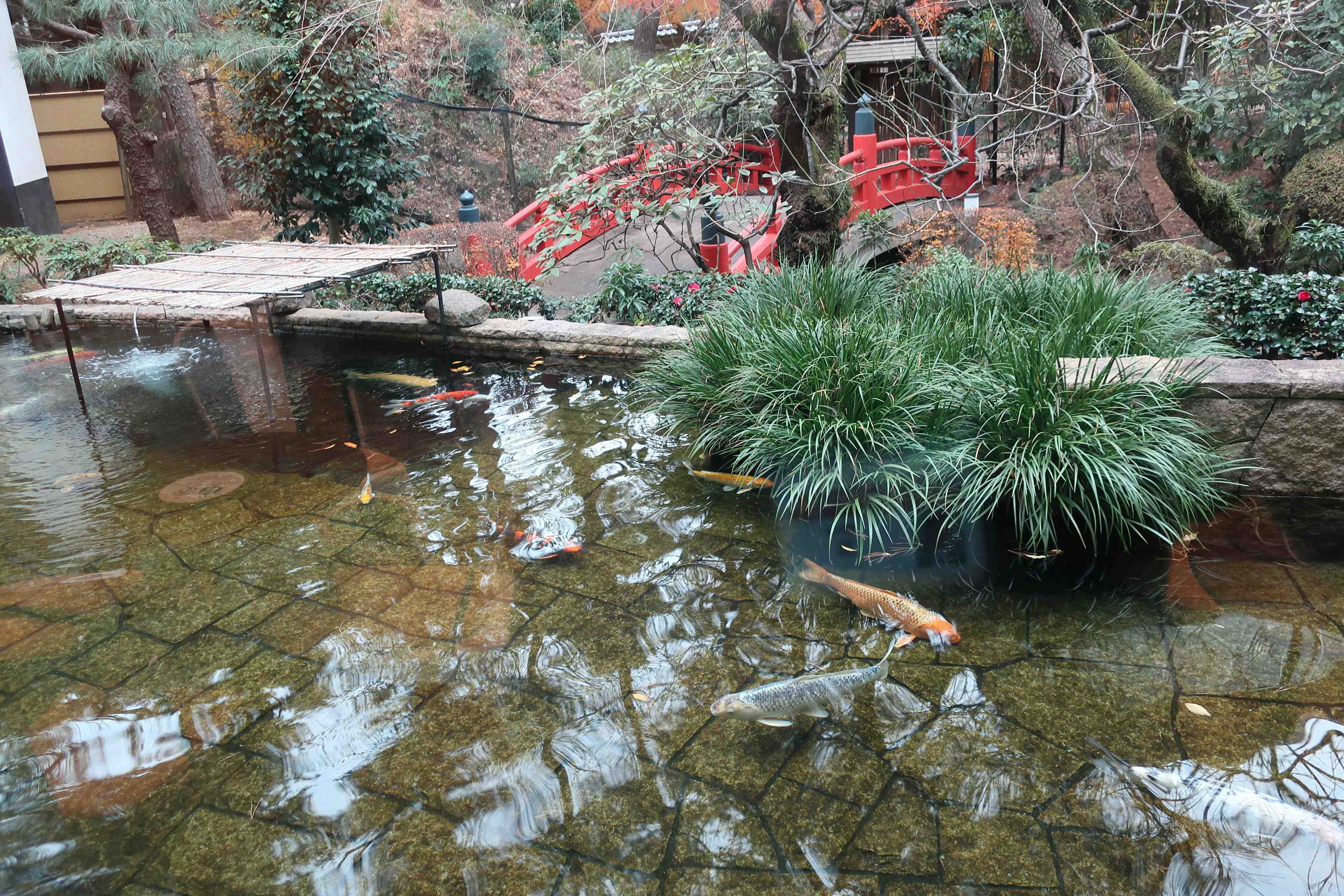 🏛️ 세타가야 문학관 (세타가야 분가쿠칸) 이미지 11